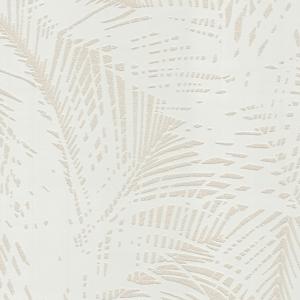 Rasch 126426